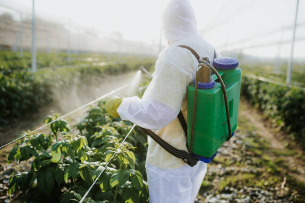 Trusted Pima, AZ Pest Control Experts